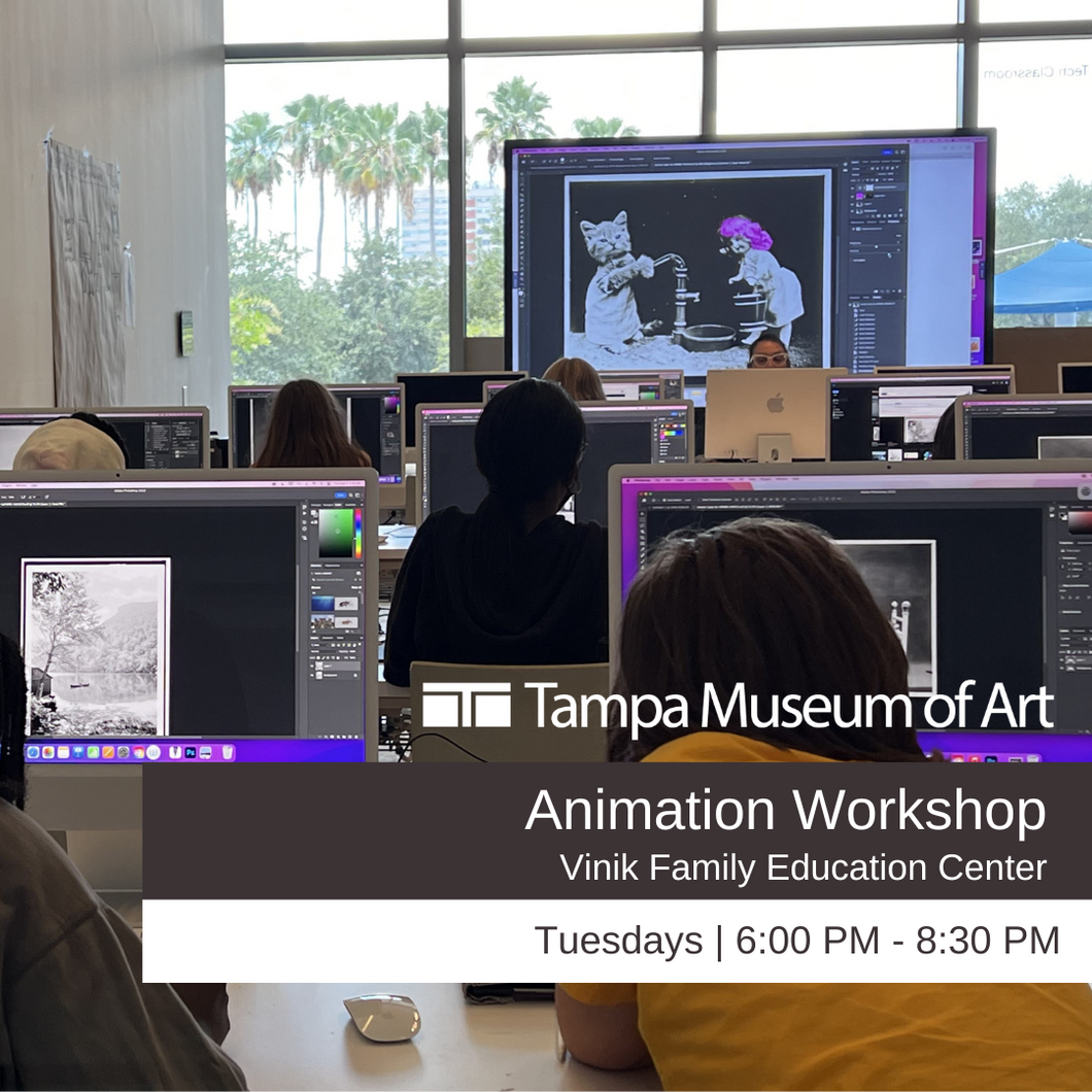 Animation Workshop